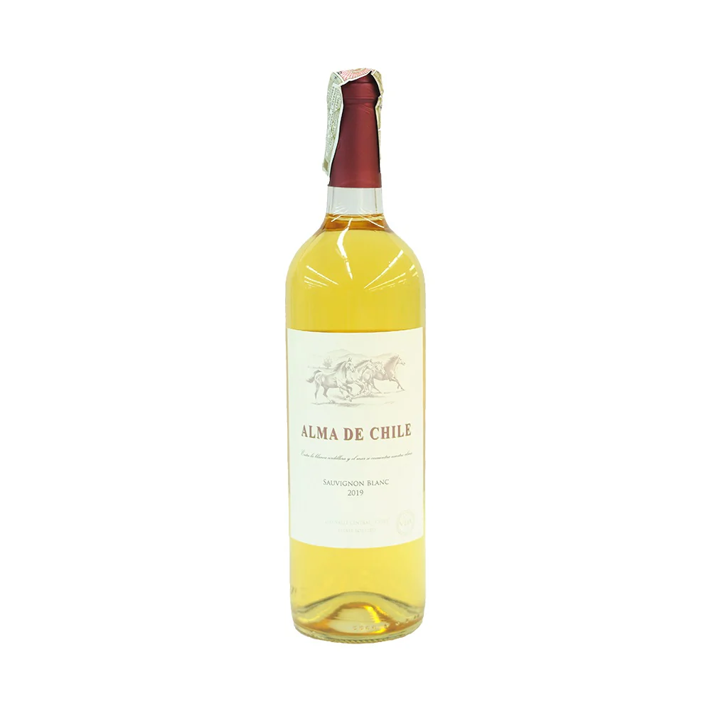 Alma De Chile Reserva Sauvignon Blanc 750ml - Image 2