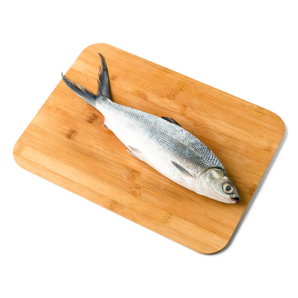Bangus Big - Image 2
