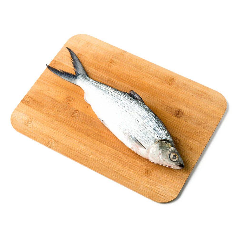 Bangus Big - Image 3