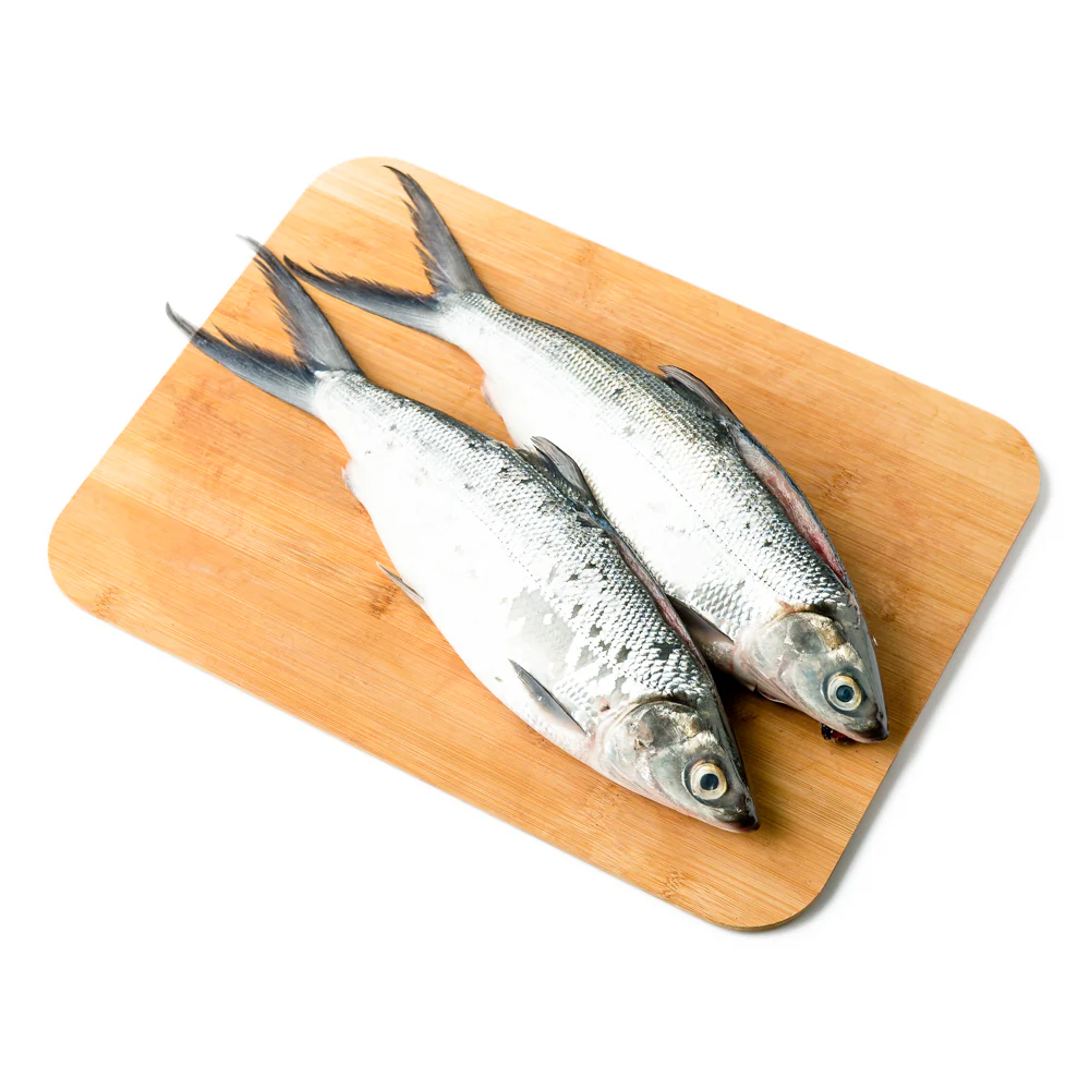 Bangus Big - Image 6