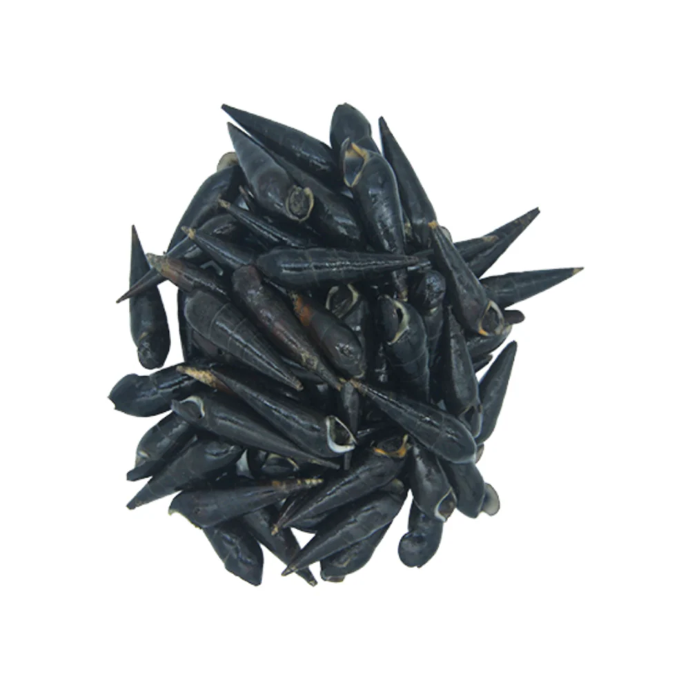 Banisil - Image 4