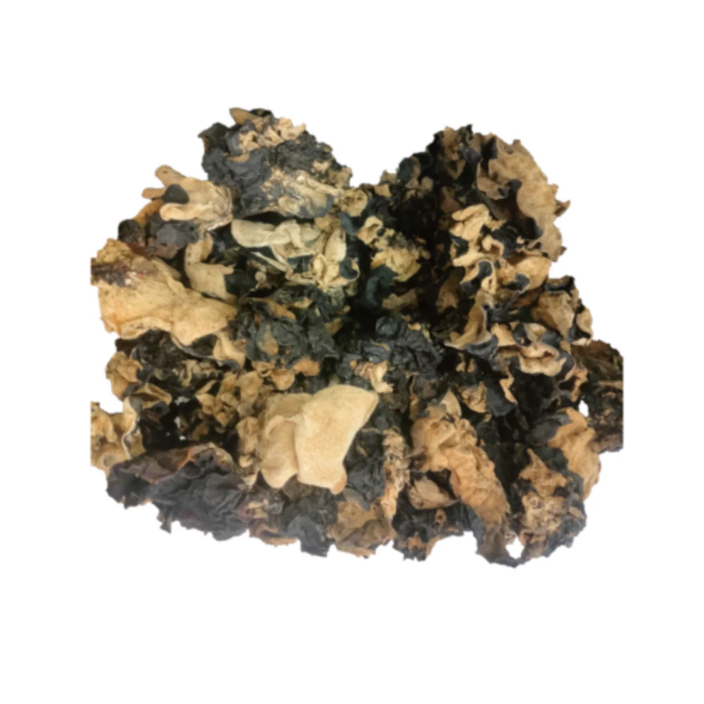 Black Fungus - Image 2