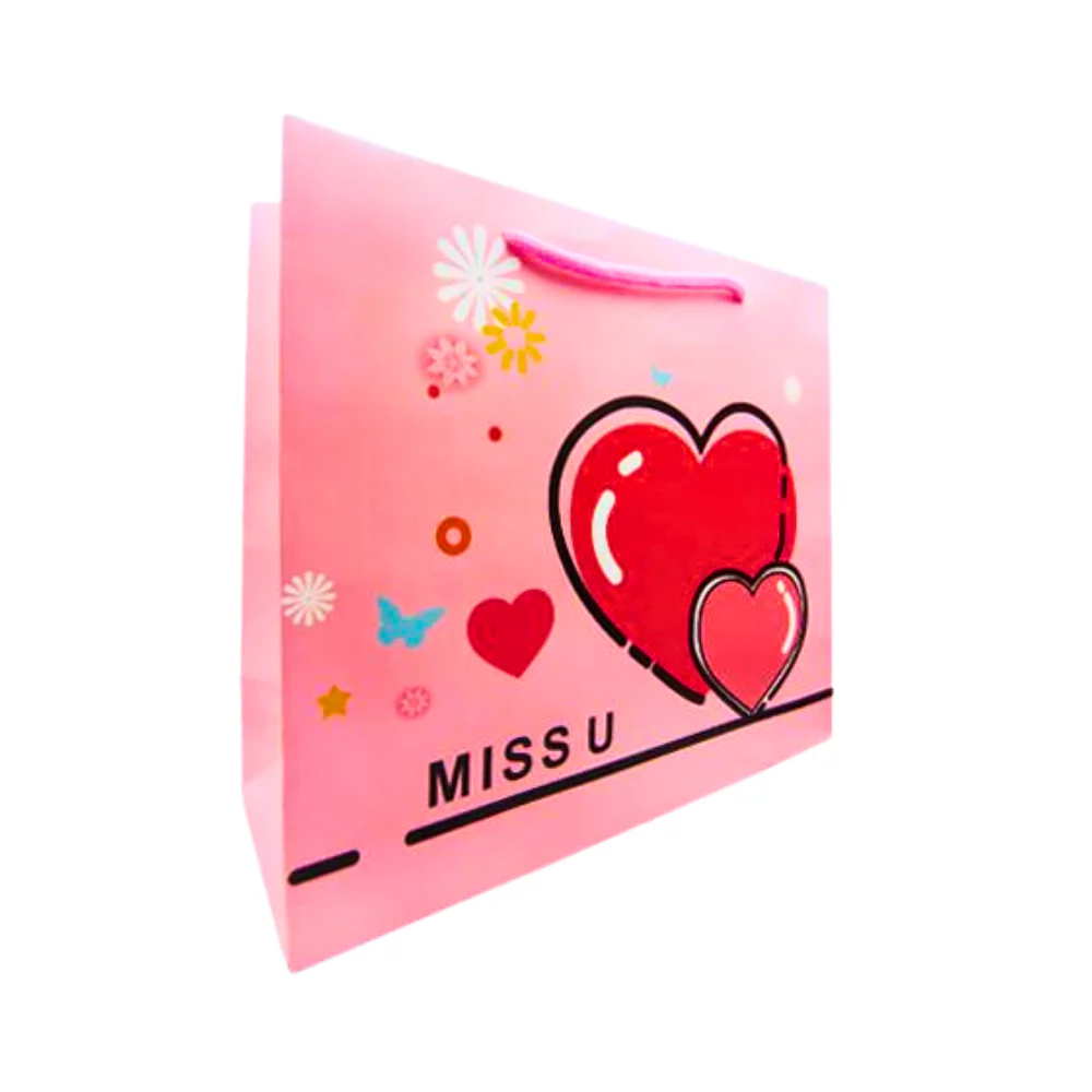 Coated Paper Bag All Occasion Large