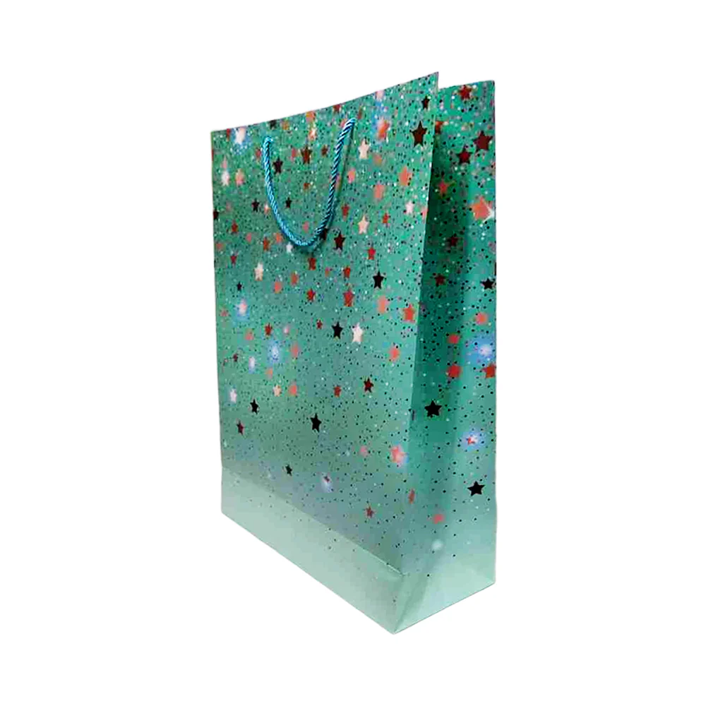Coated Paper Bag All Occasion XLarge - Image 2