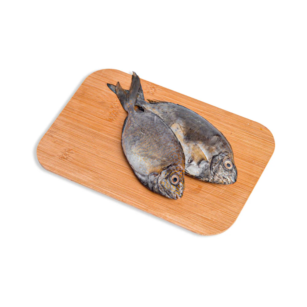 Danggit Fish - Image 11