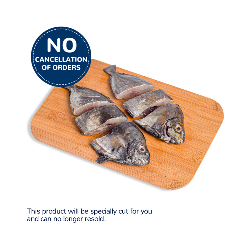 Danggit Fish - Image 13