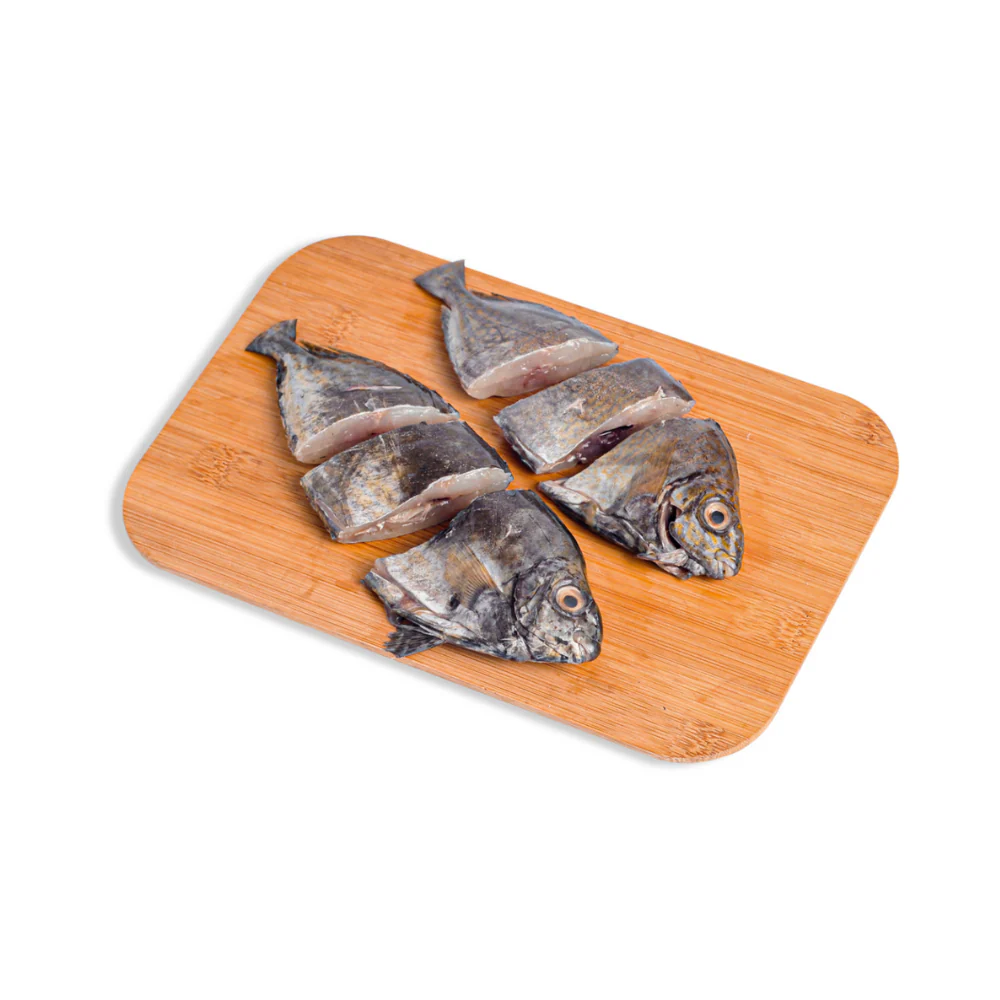 Danggit Fish - Image 14