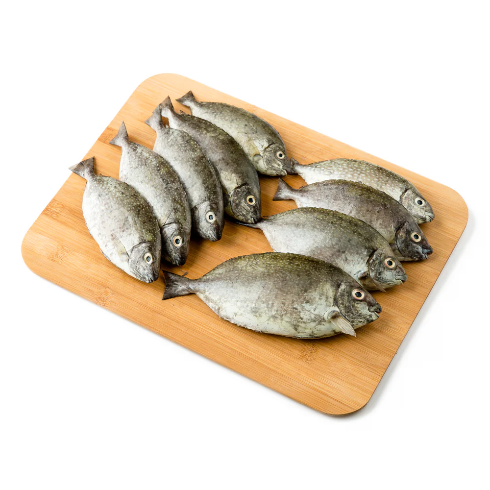 Danggit Fish - Image 3