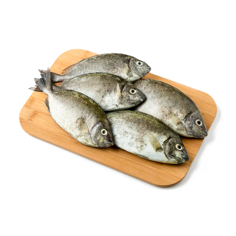 Danggit Fish - Image 6