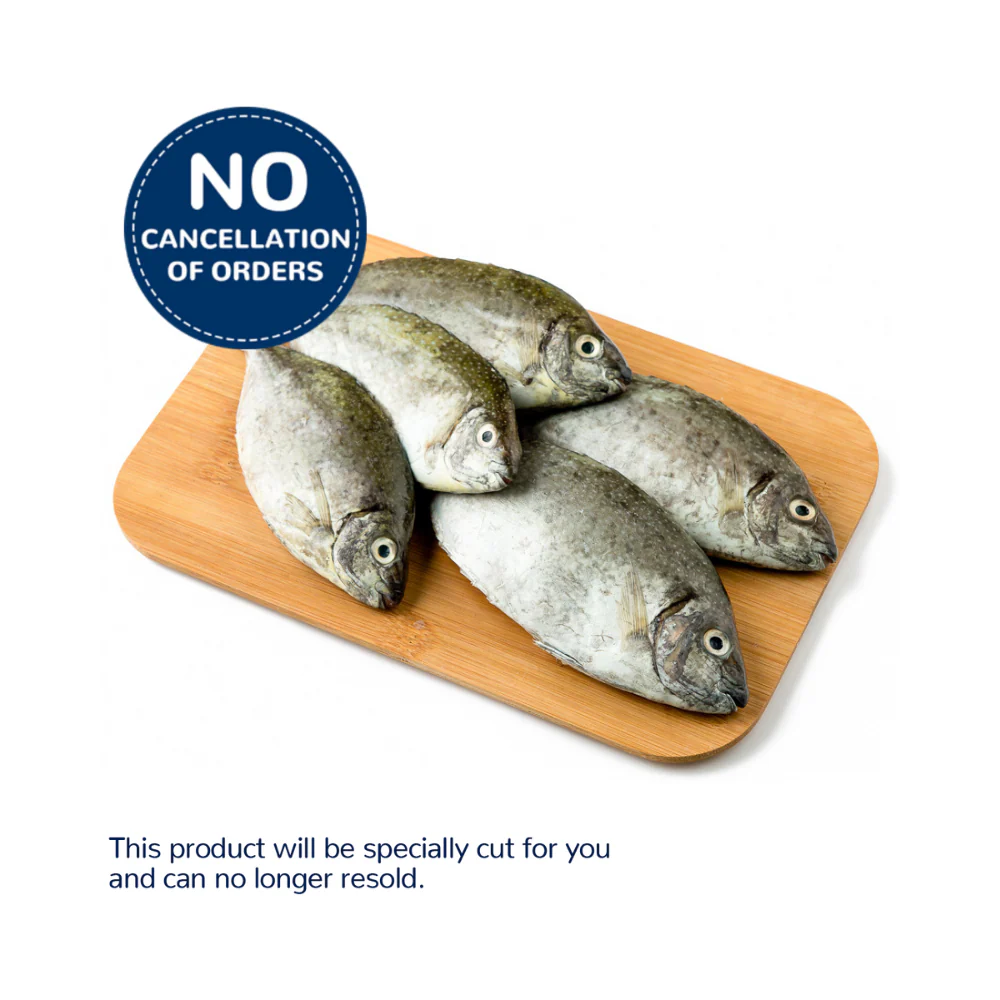 Danggit Fish - Image 7
