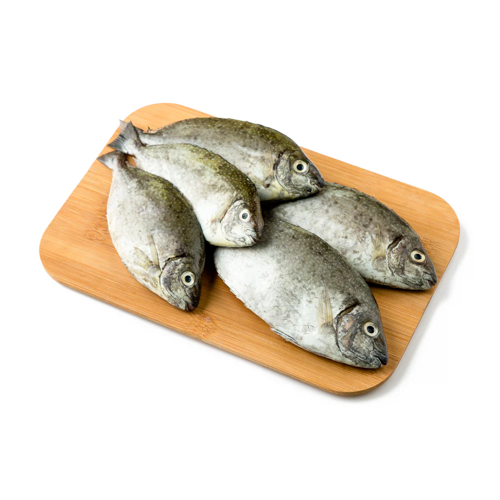 Danggit Fish - Image 8