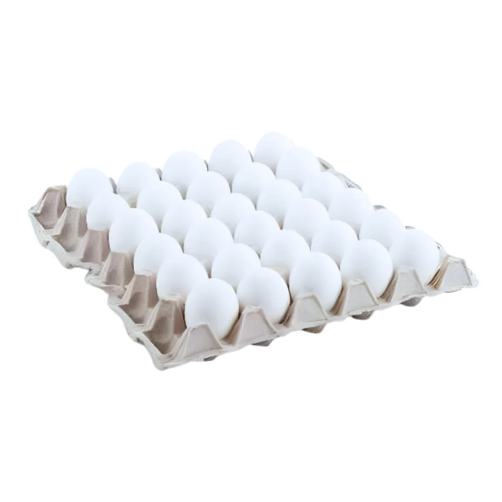 Fresh Eggs XLarge (Tray) - Image 2