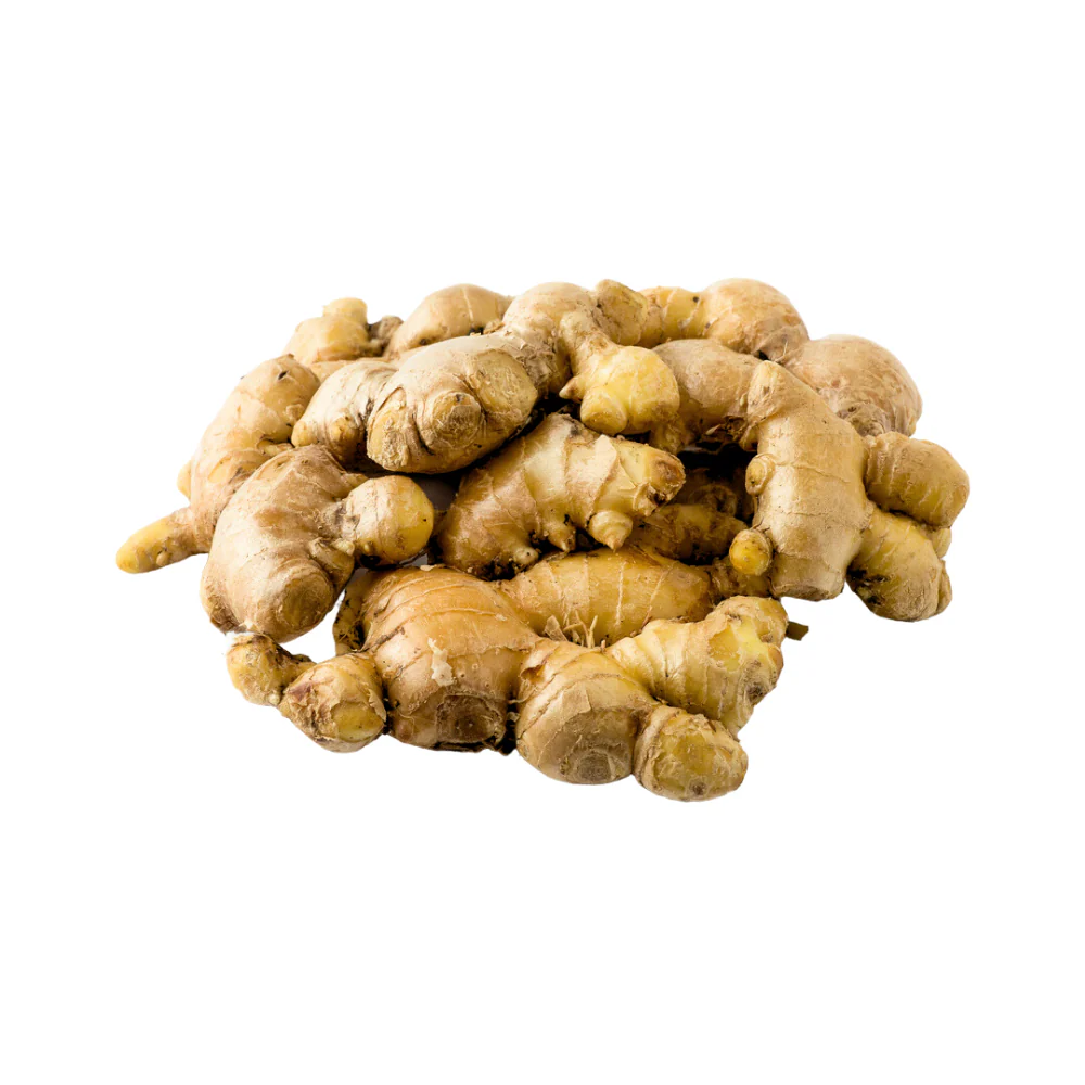 Ginger - Image 3