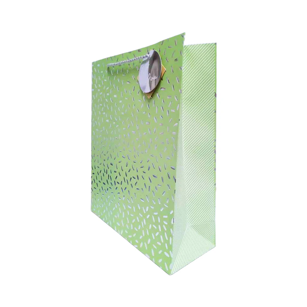 Hallmark Anyday Gift Bag Medium - Image 2