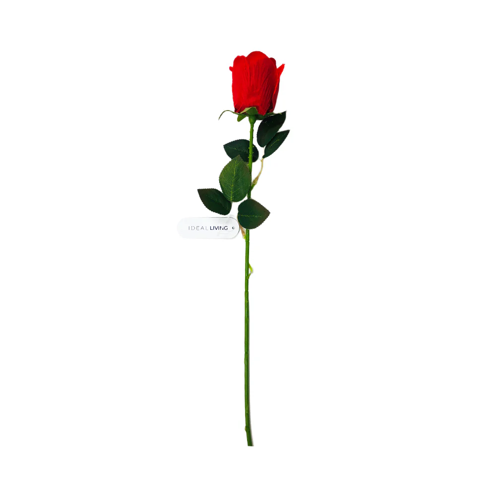 Ideal Living Rose Flower Single - Image 2