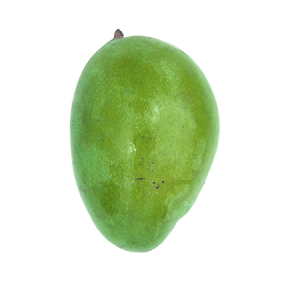 Mango Florida - Image 2