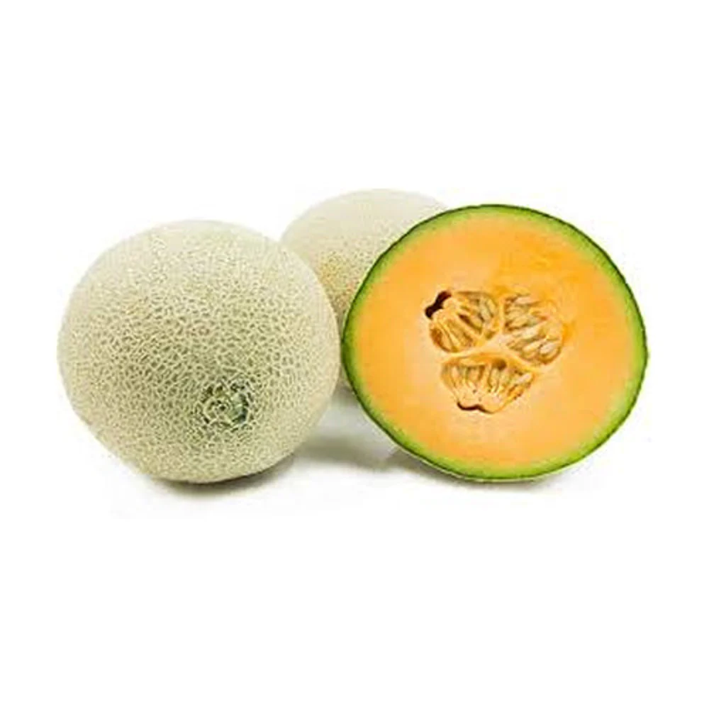 Melon Cantaloupe - Image 2