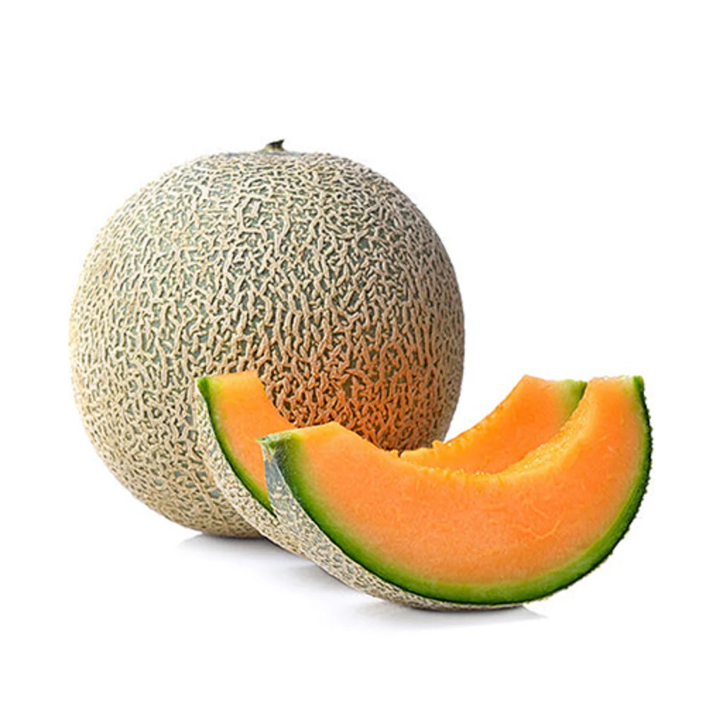 Melon Cantaloupe - Image 3