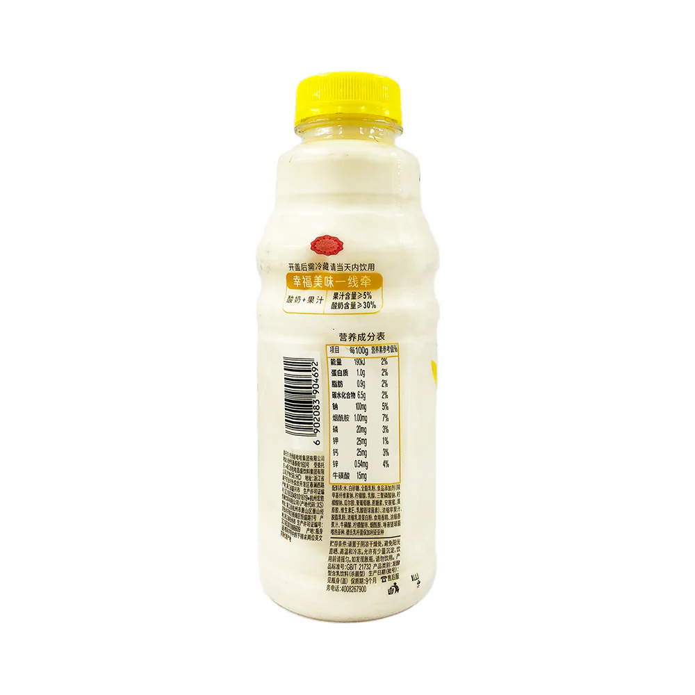 Nutri Express Flavored Yogurt Drink 500g - Image 2