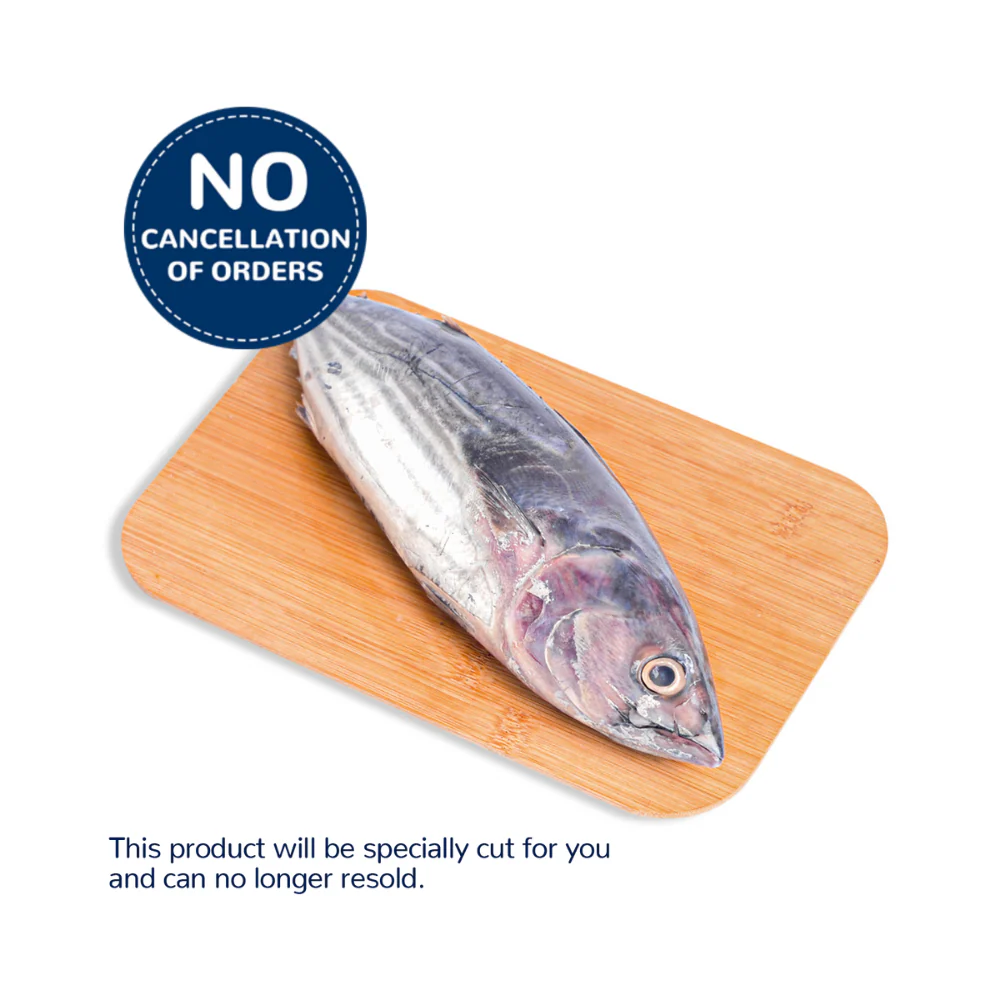 Perit Fish (Tulingan) - Image 3