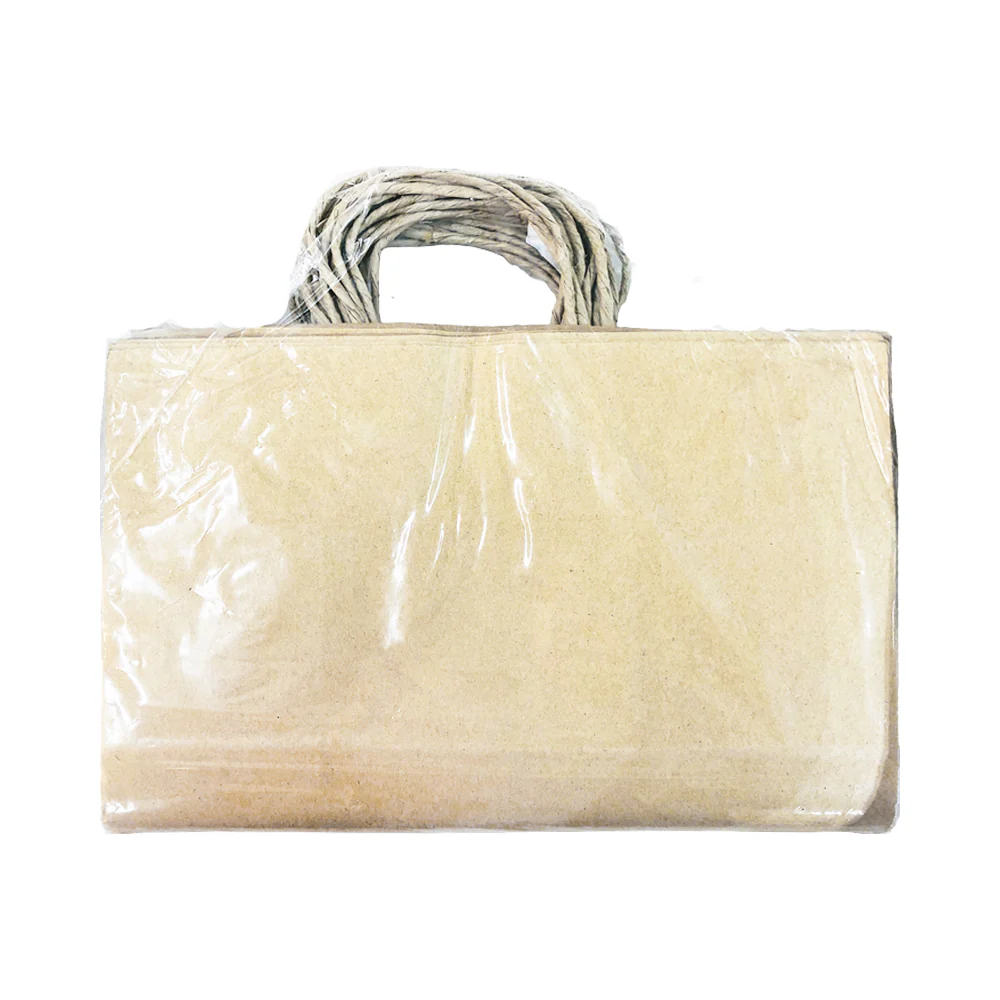 Pop I Paper Shopping Bag 10's - Image 4