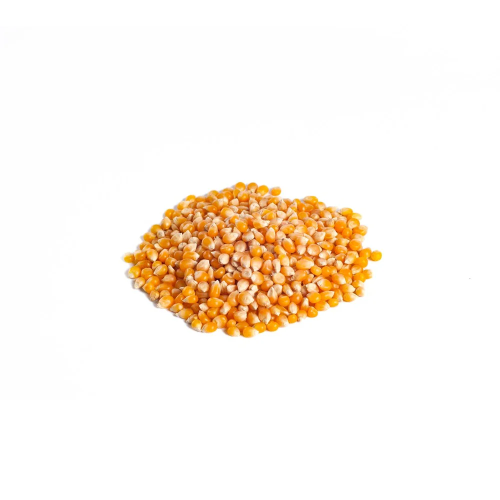 Popcorn - Image 3