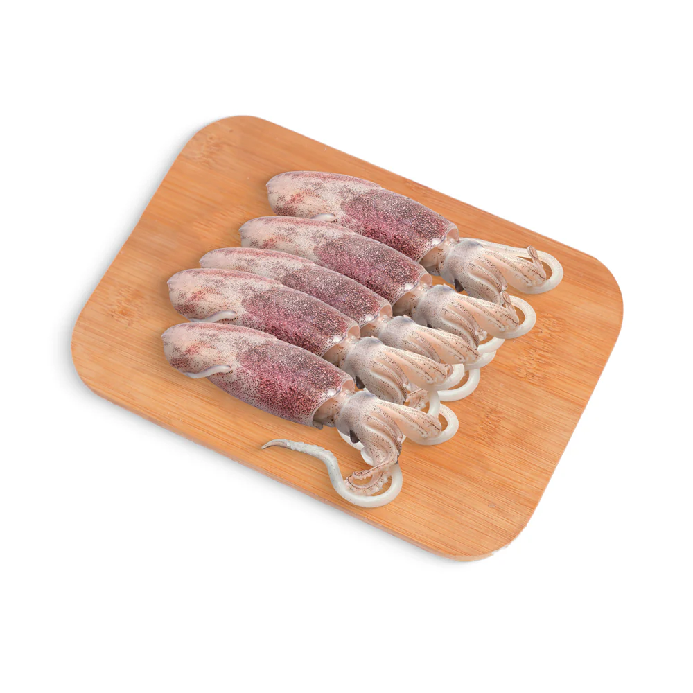 Pusit Black (Nokus)