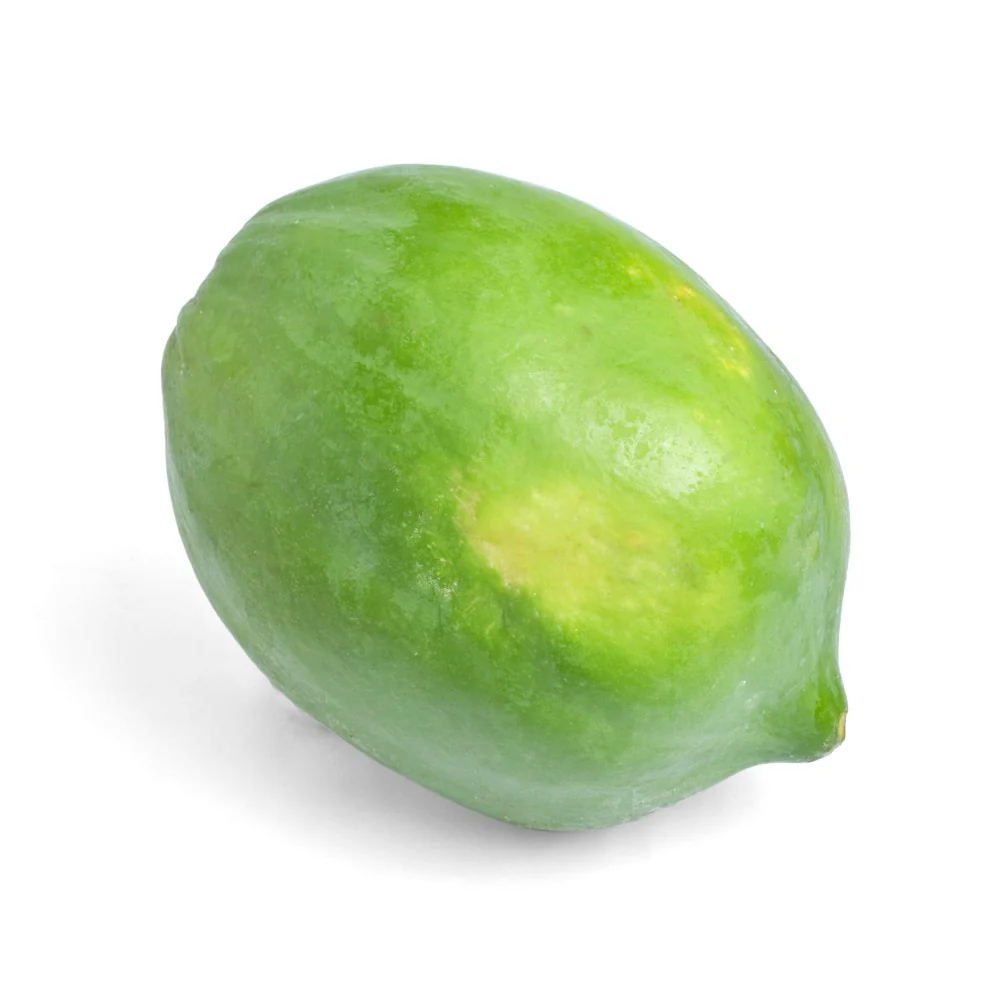 Red Lady Papaya - Image 2