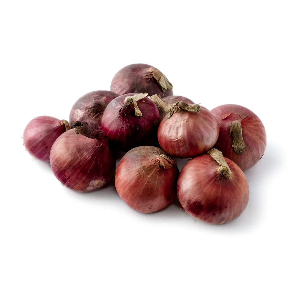 Red Onion - Image 2