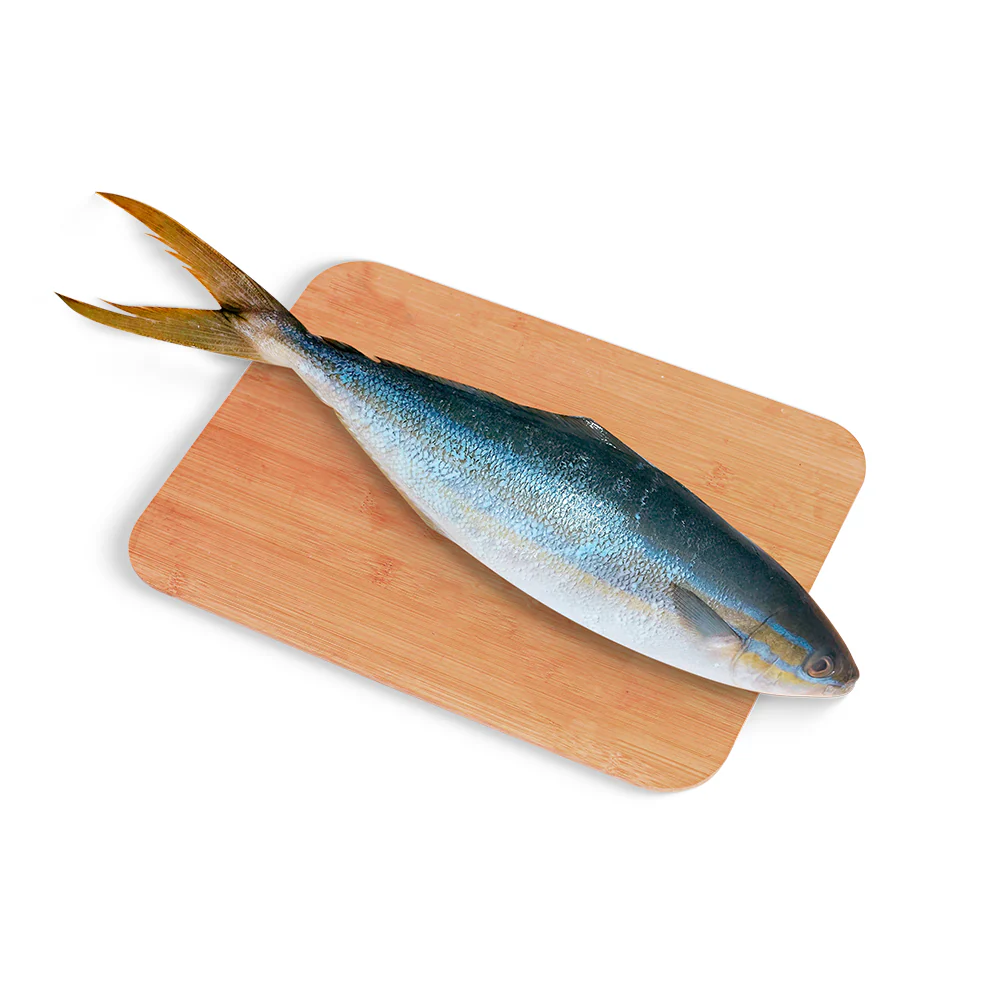 Salmon Fish - Image 2