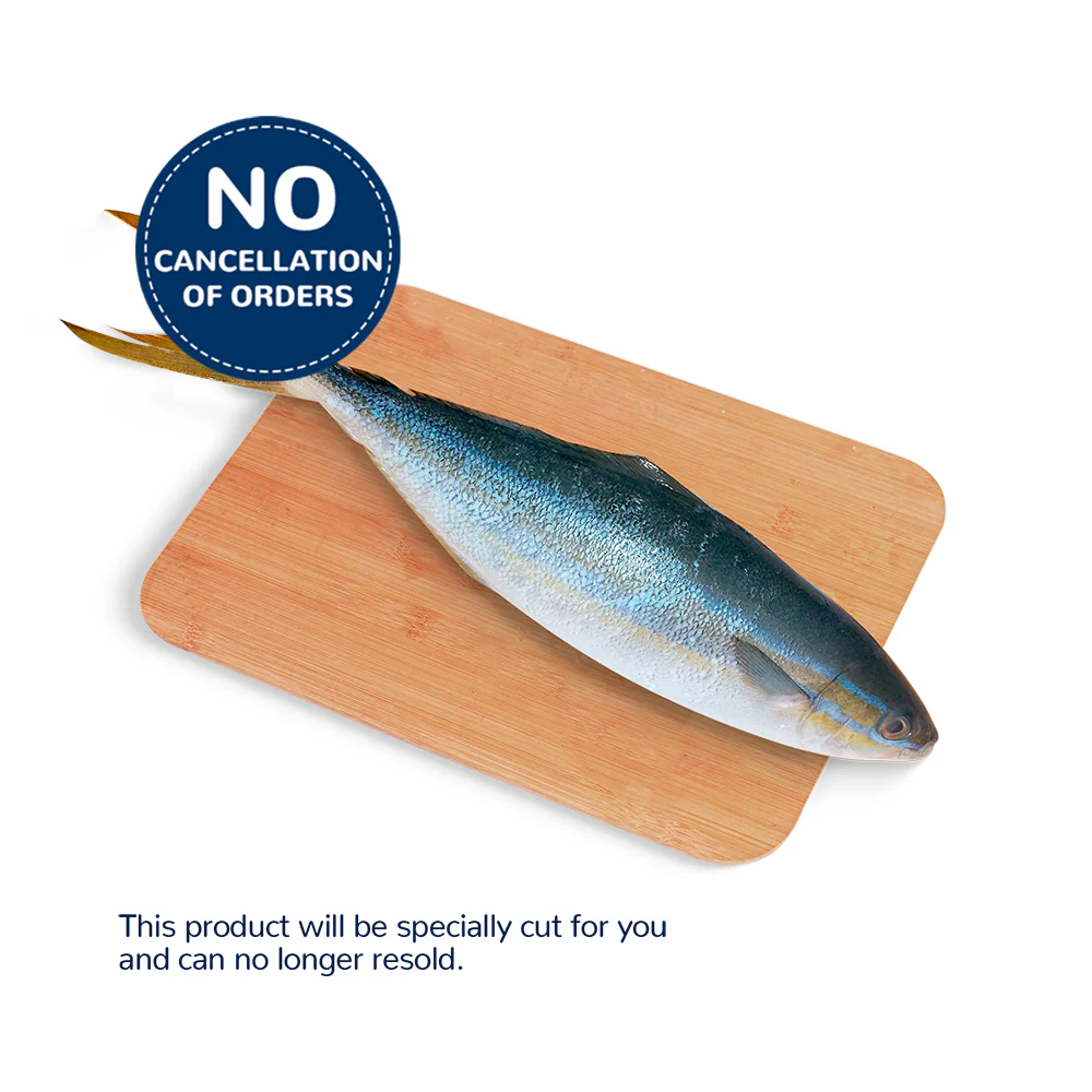 Salmon Fish - Image 3