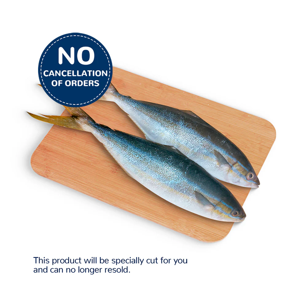 Salmon Fish - Image 6