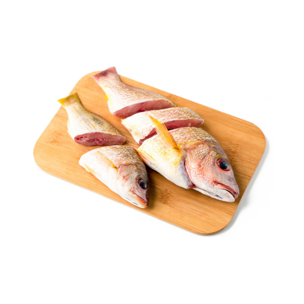 Sari Fish - Image 10