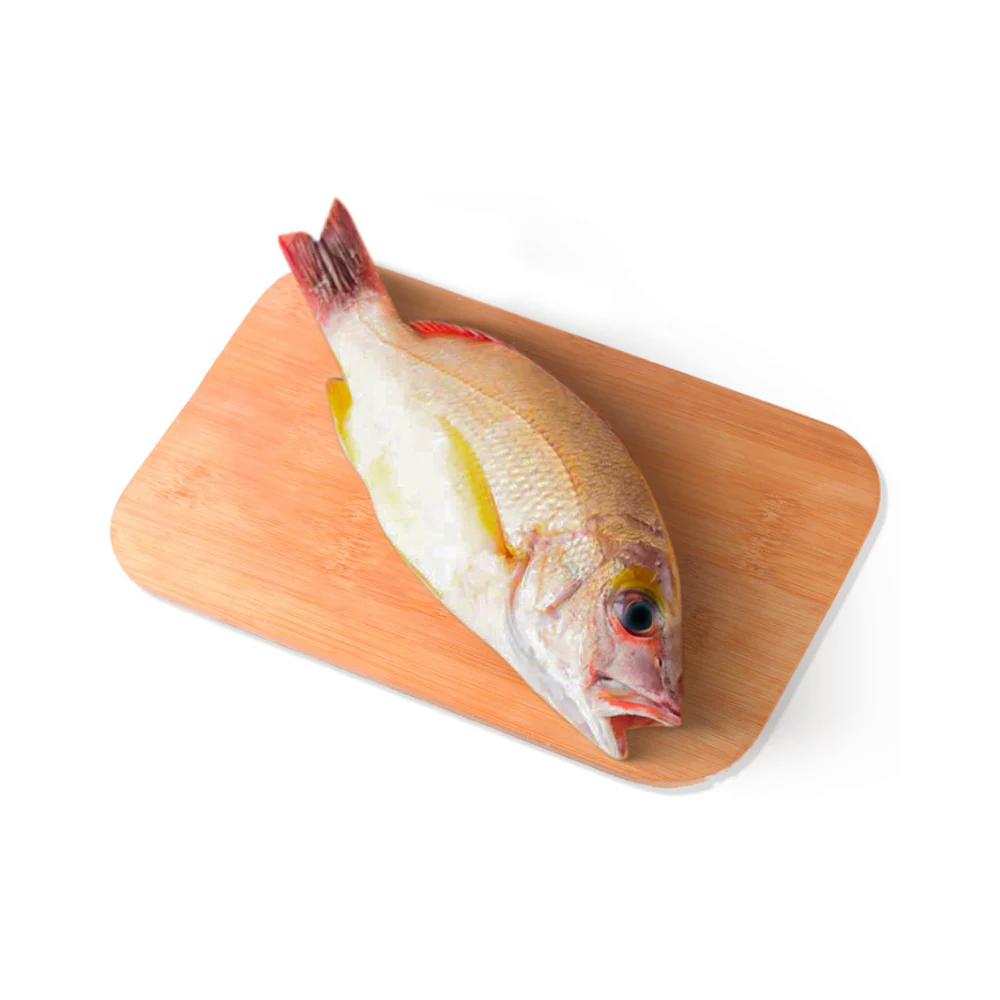 Sari Fish - Image 11