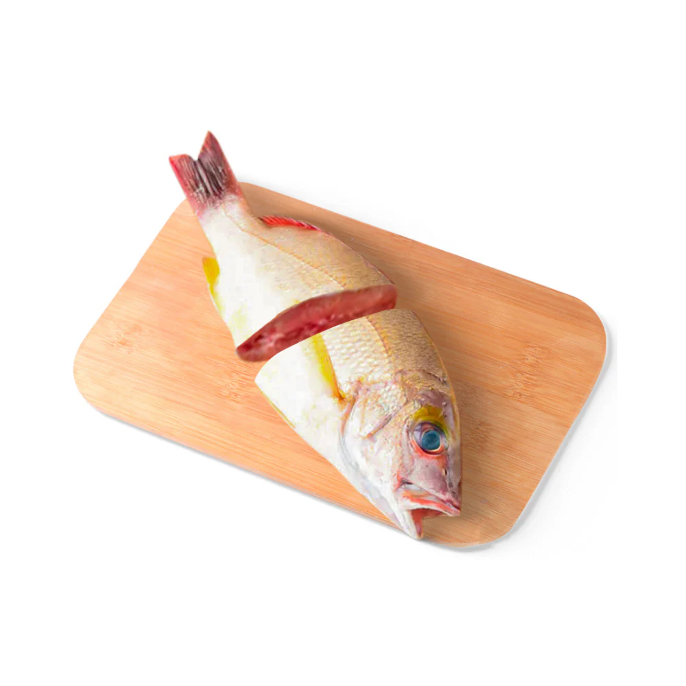 Sari Fish - Image 14