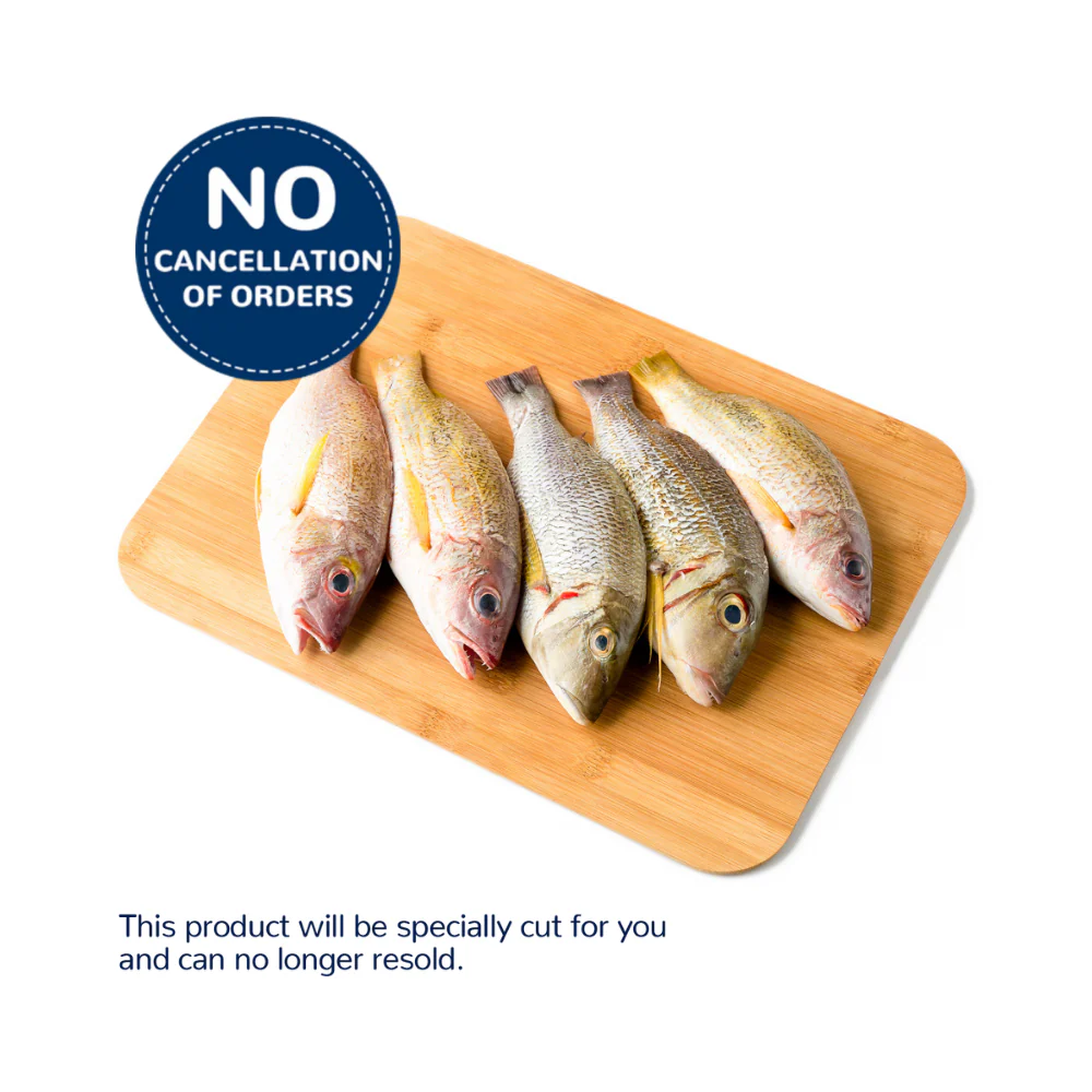 Sari Fish - Image 2