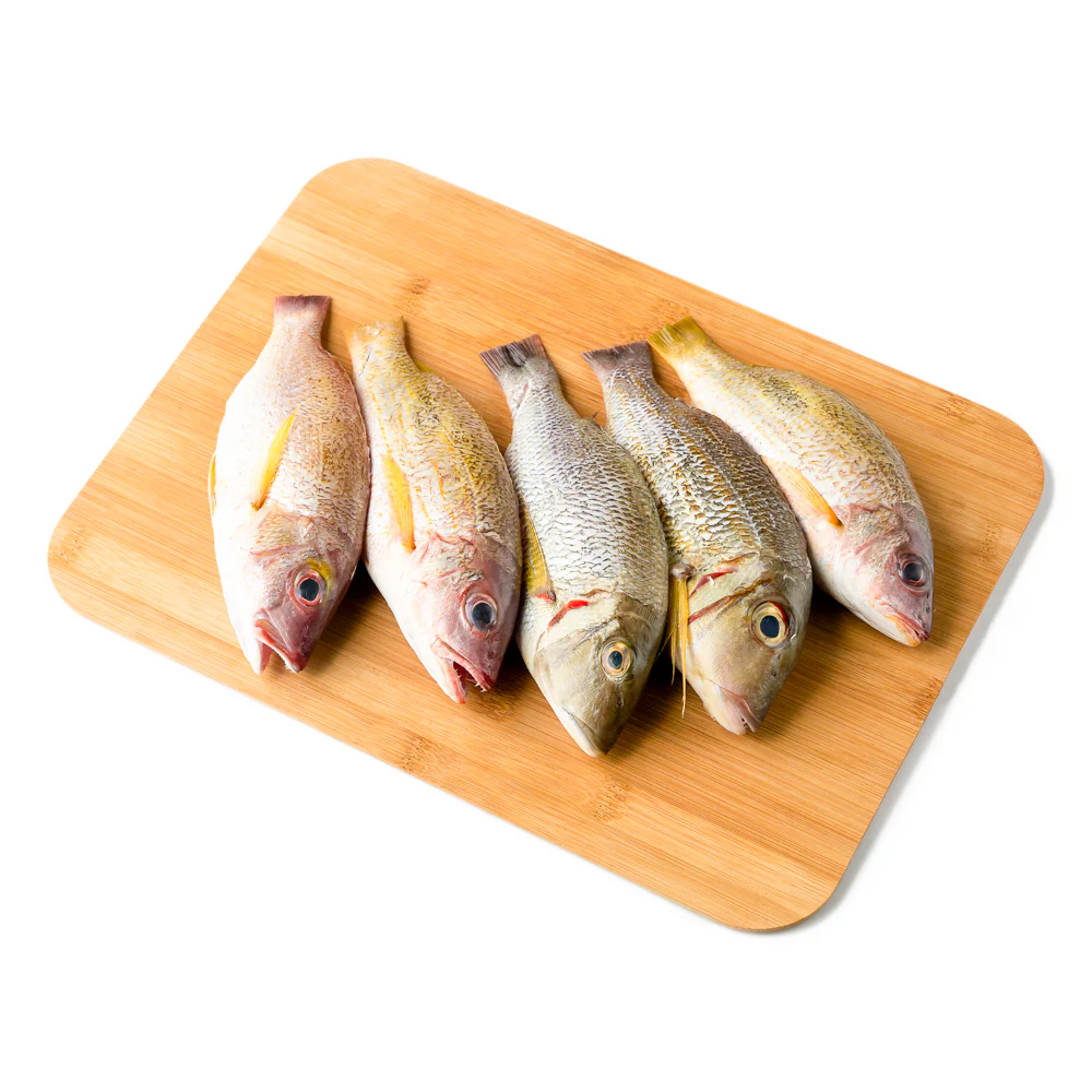 Sari Fish - Image 3