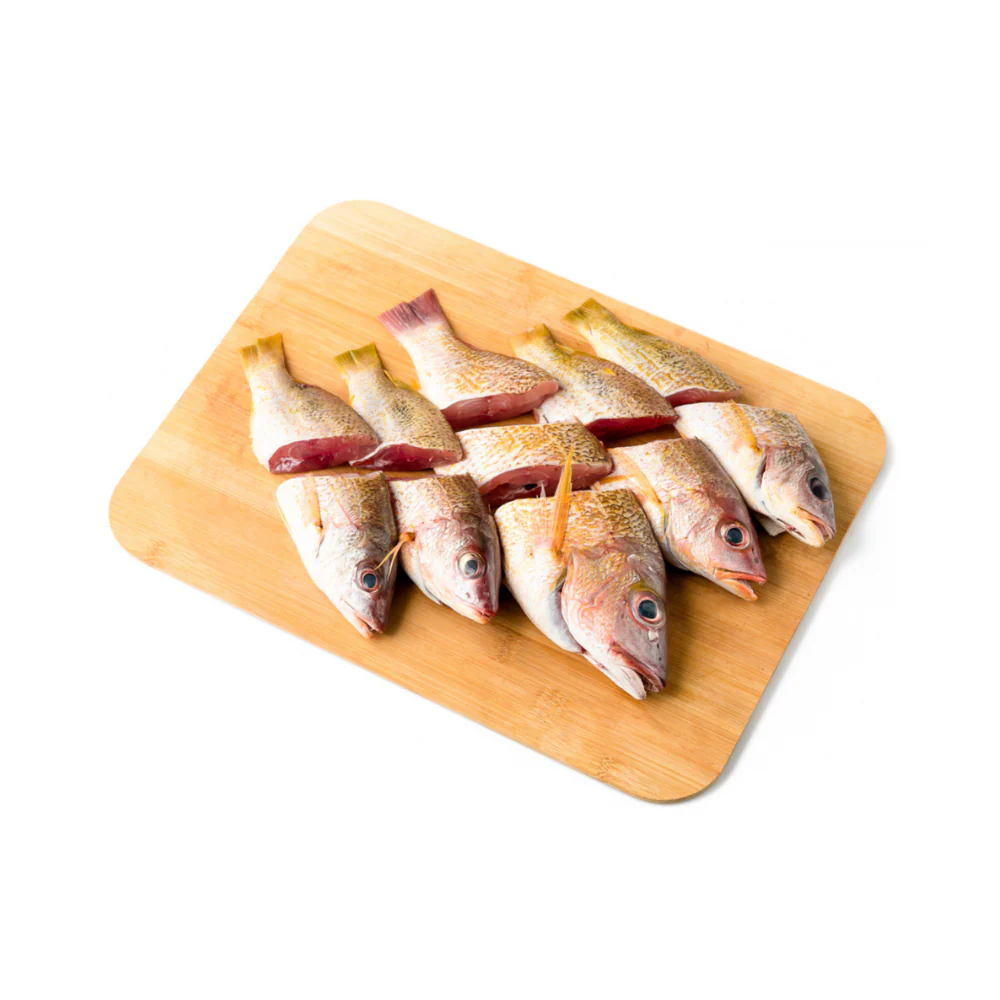 Sari Fish - Image 5