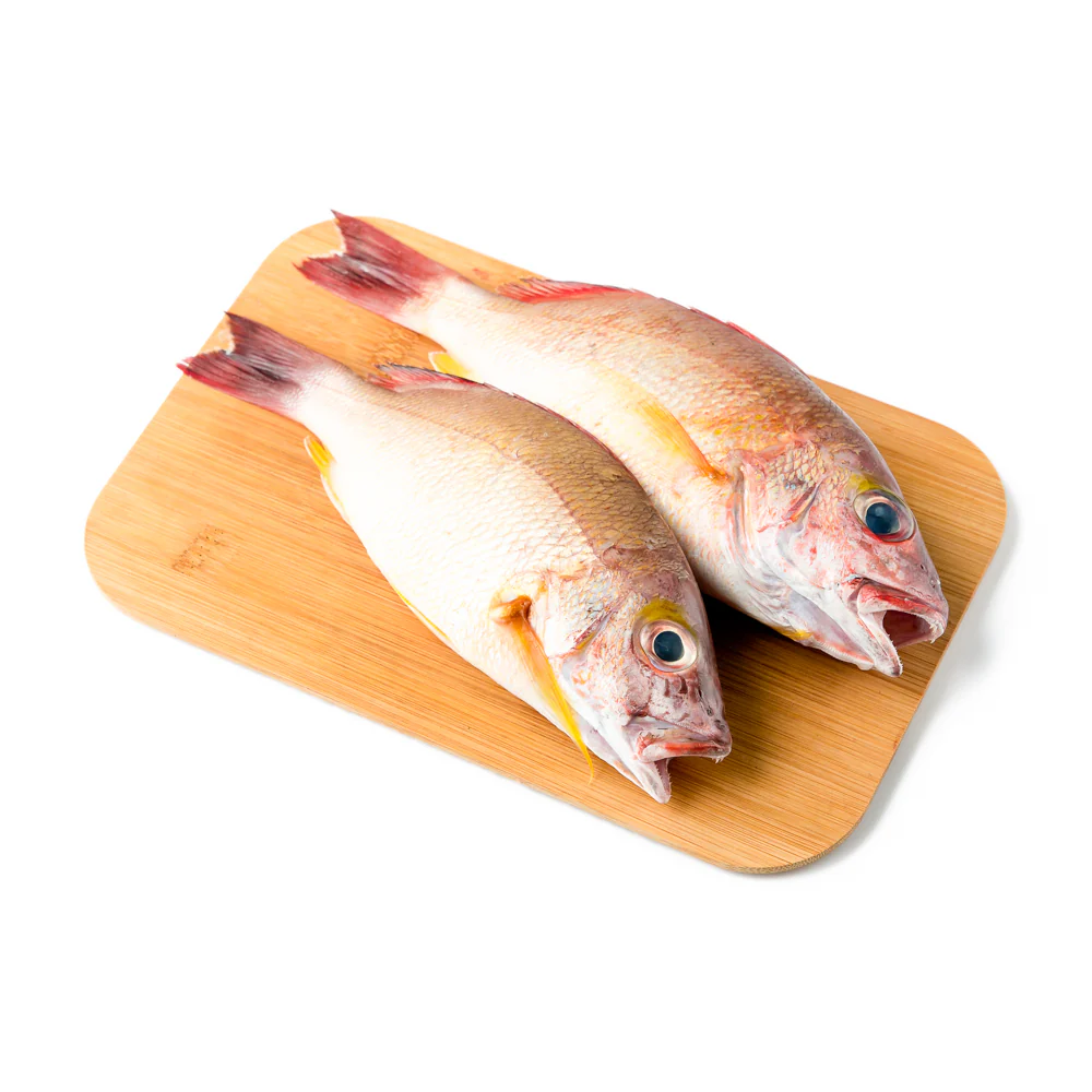 Sari Fish - Image 6