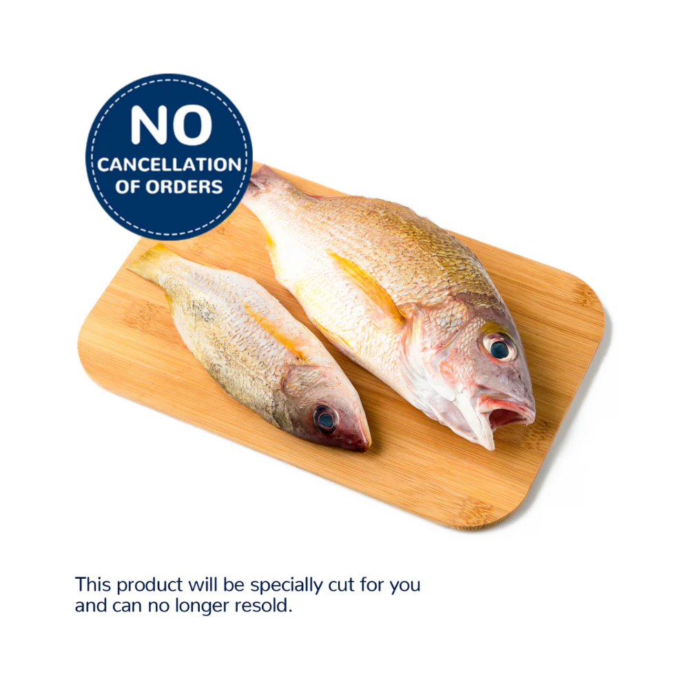 Sari Fish - Image 7