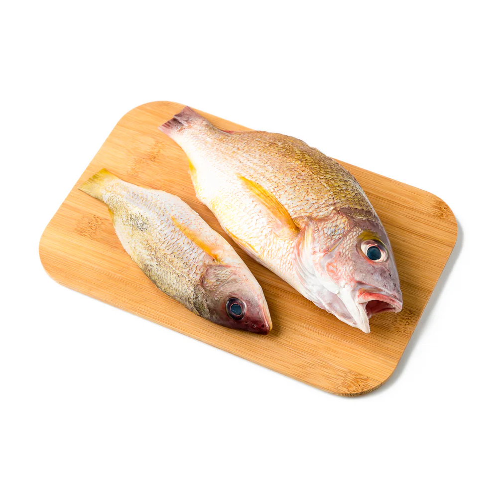 Sari Fish - Image 8