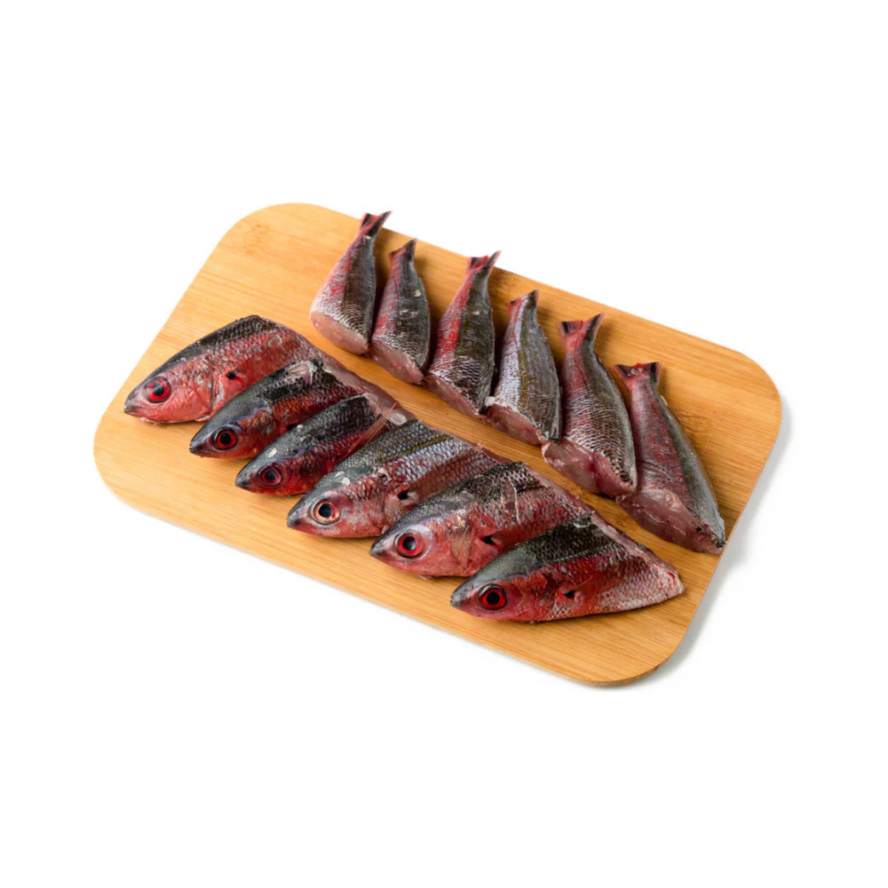 Solid Fish (Bilason) - Image 10