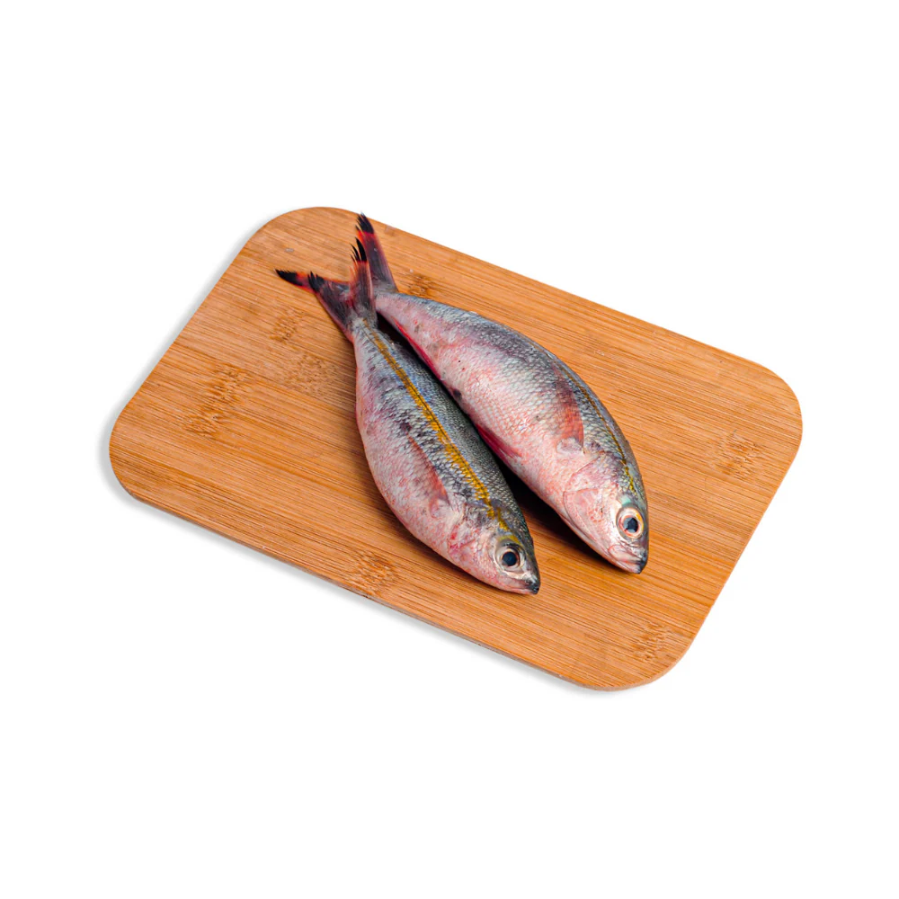 Solid Fish (Bilason) - Image 11
