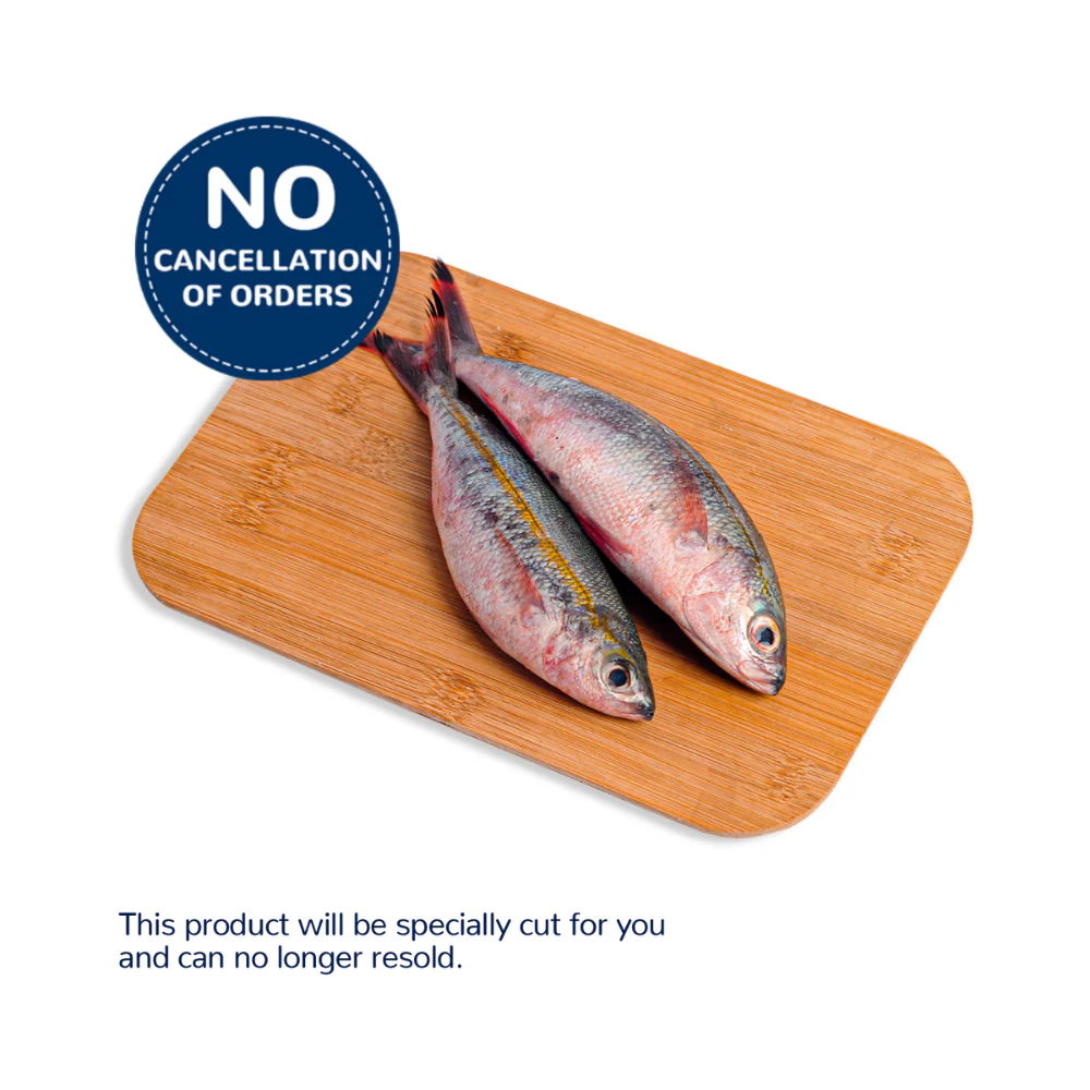 Solid Fish (Bilason) - Image 12