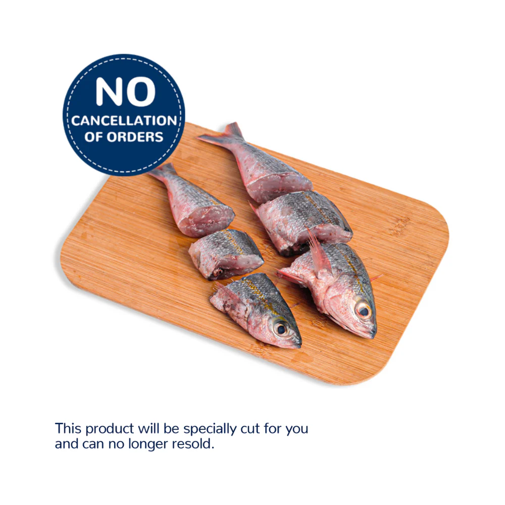 Solid Fish (Bilason) - Image 13