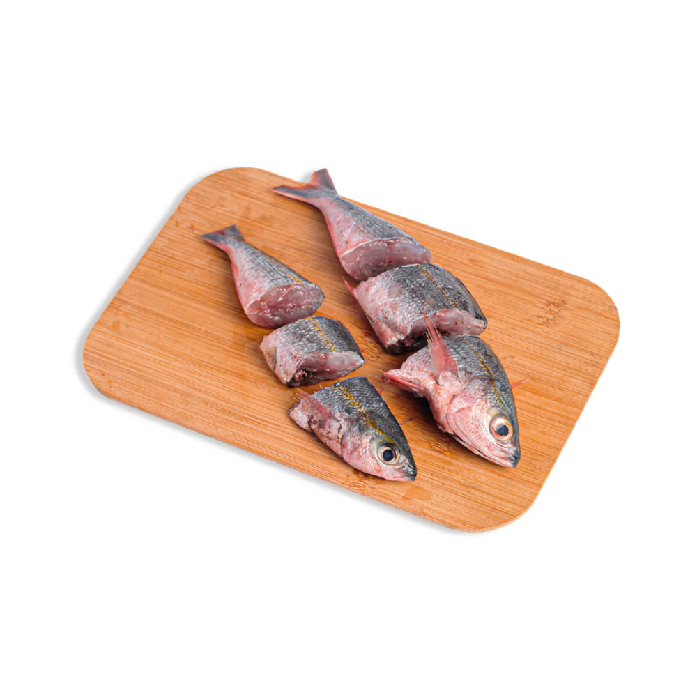 Solid Fish (Bilason) - Image 14