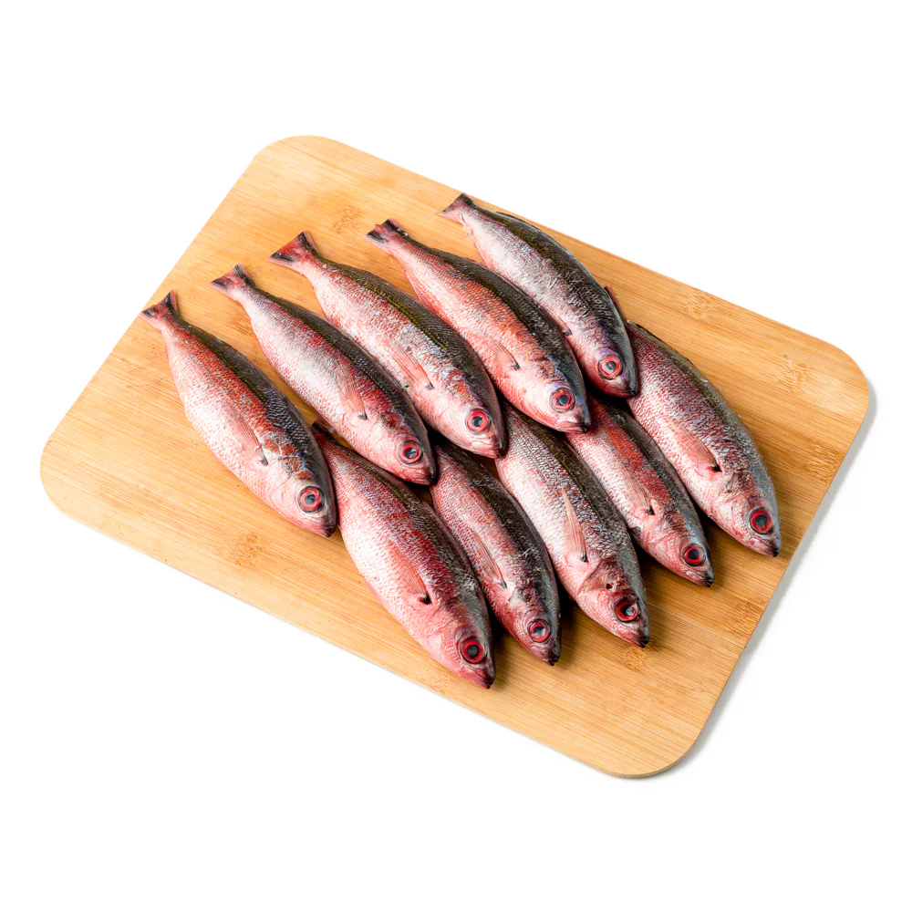 Solid Fish (Bilason) - Image 3