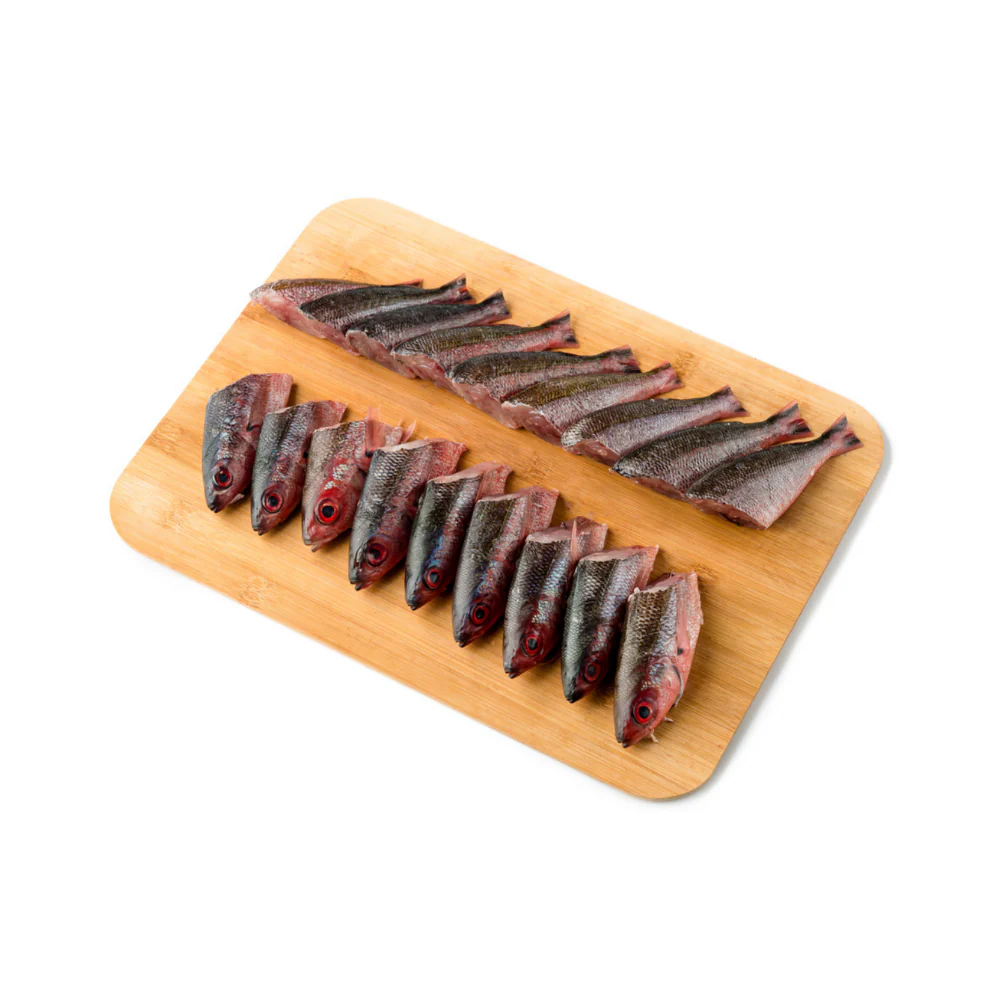 Solid Fish (Bilason) - Image 5