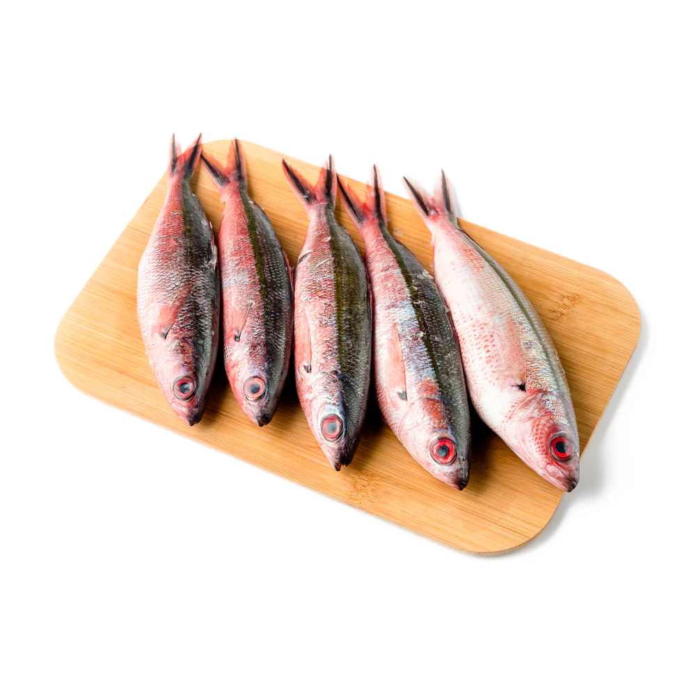 Solid Fish (Bilason) - Image 6