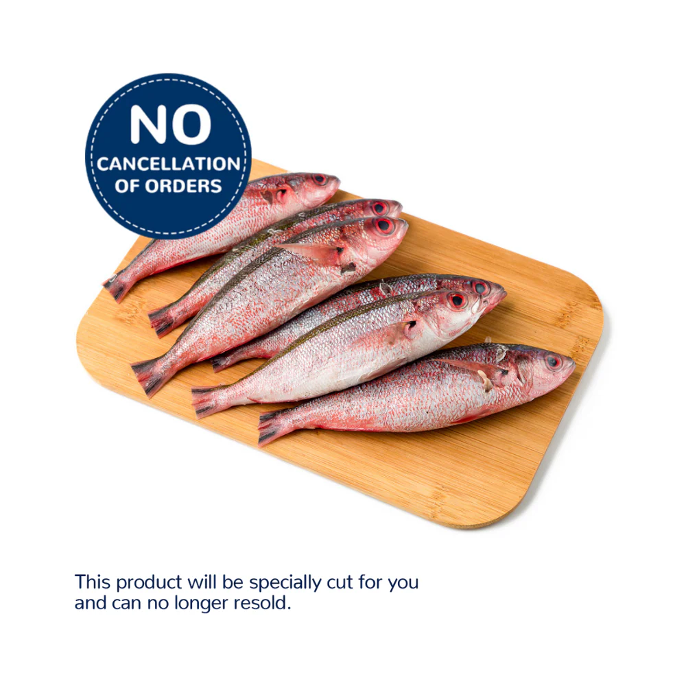 Solid Fish (Bilason) - Image 7